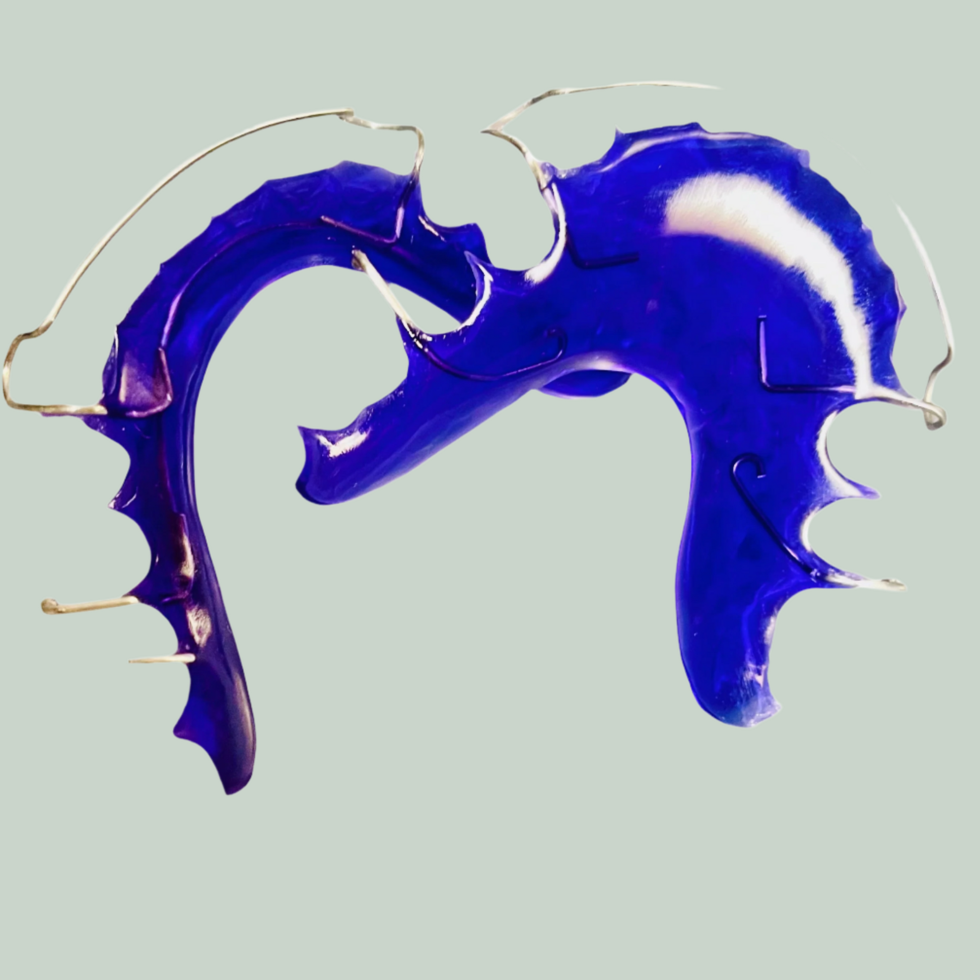 Sleek blue Acrylic upper and lower retainers. 